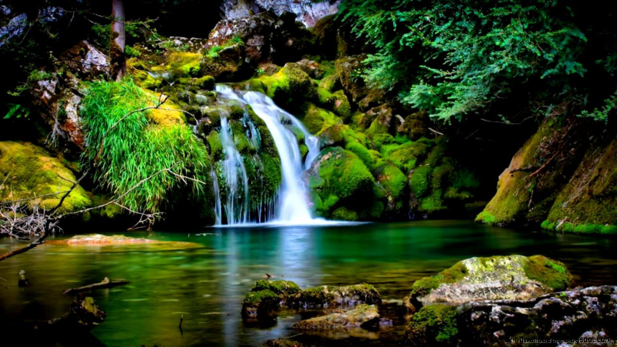 Beautiful Amazon Wallpapers Beautiful Amazon Wallpapers