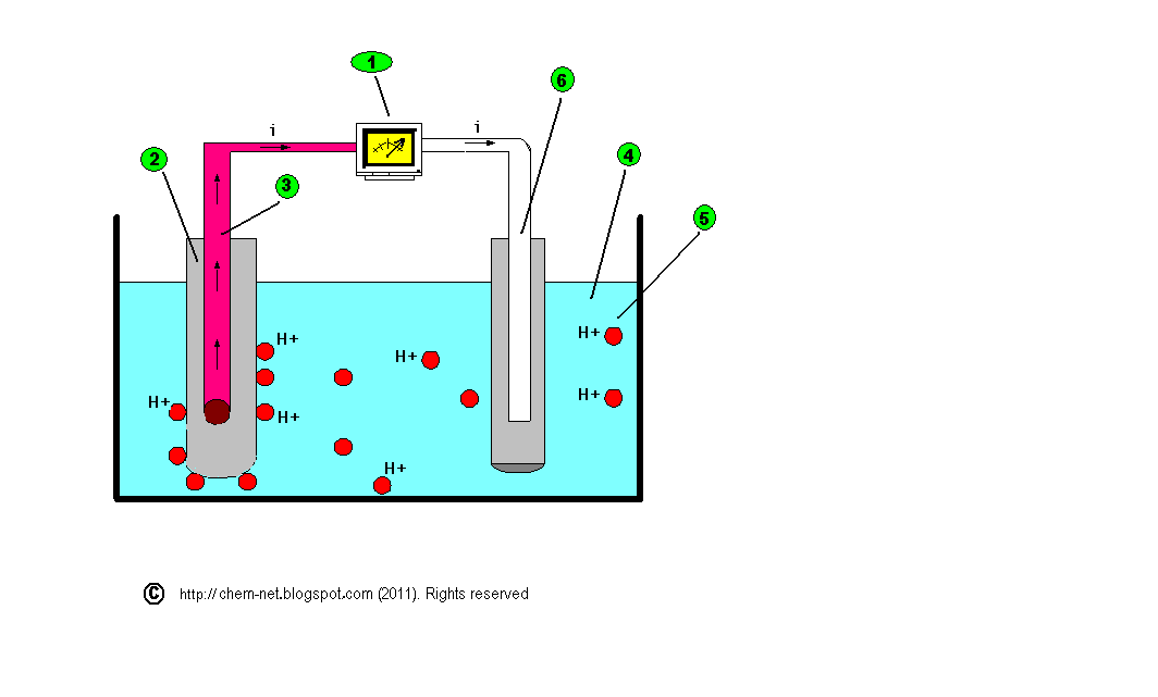 Measuring the pH of a Solution with a pH meter Chemistry Net