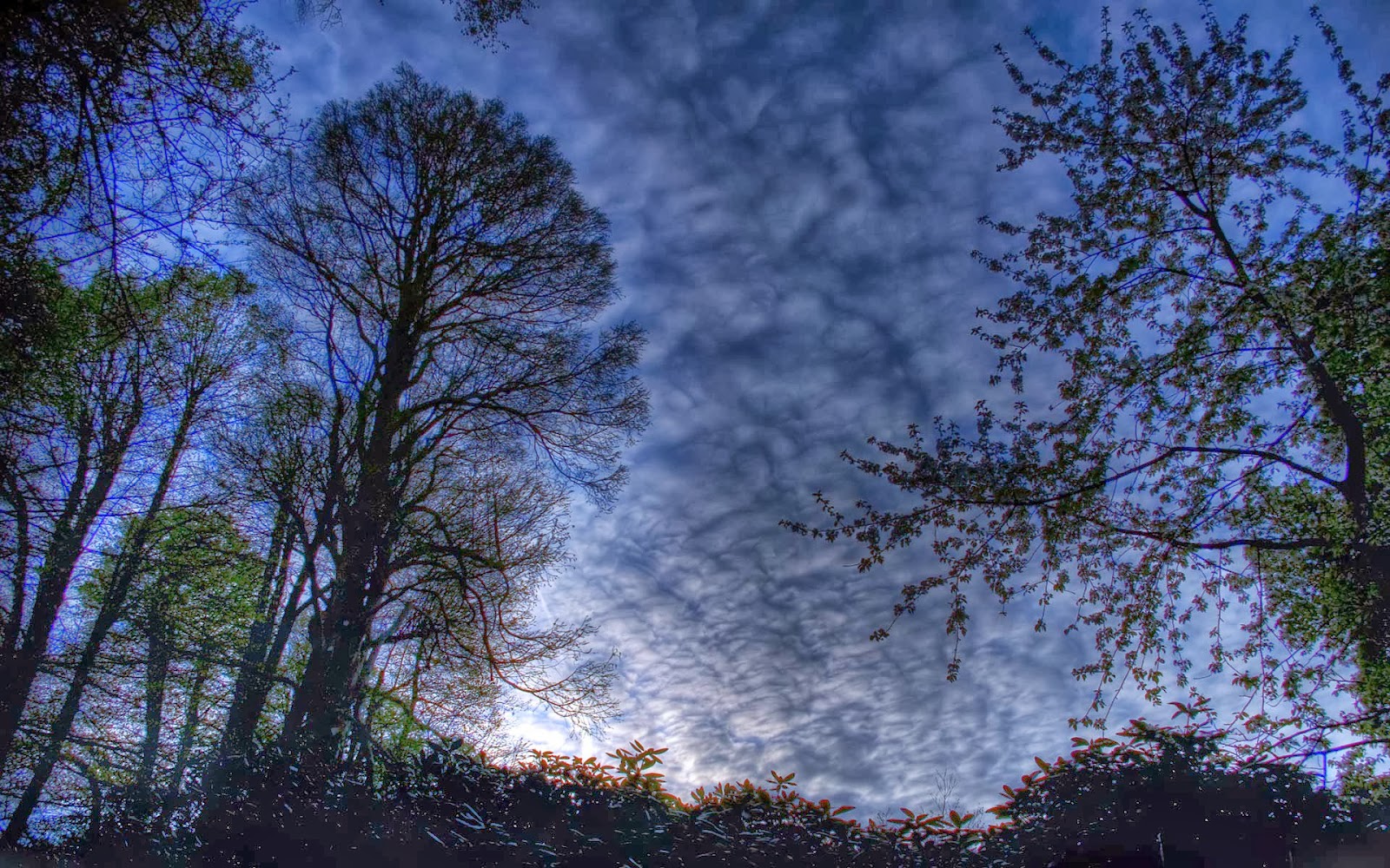 HD Wallpapers Desktop: Night sky HD Wallpapers