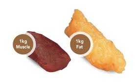 1 kg fett 1 kg fett