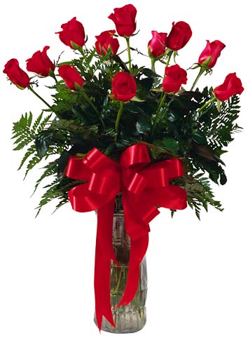 Red Rose Friendship