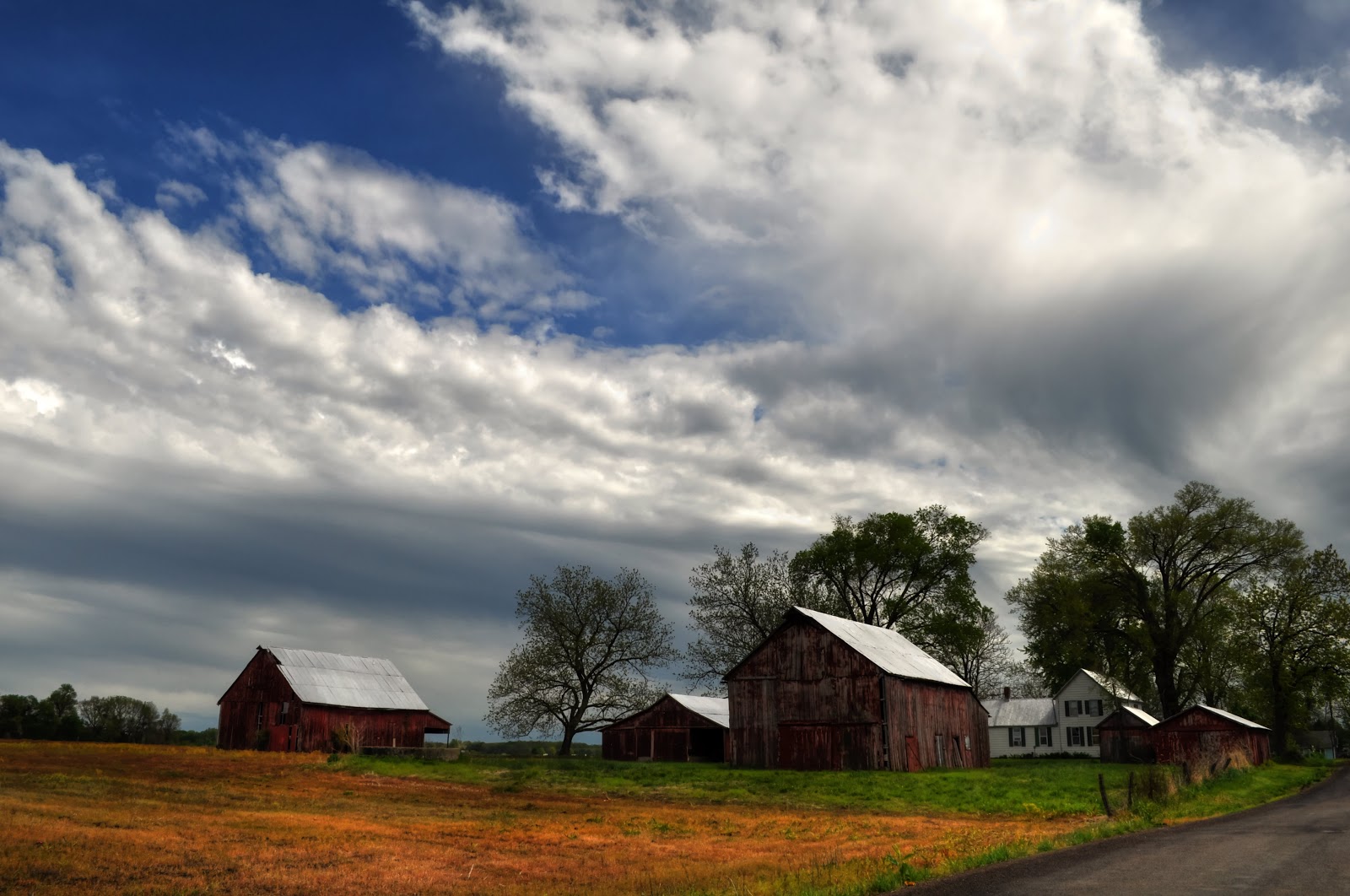 Time To Take Pictures Daily Photos from Keith Moyer Farm on a Sunny