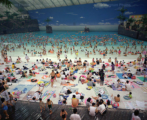 Martin Parr Paintings