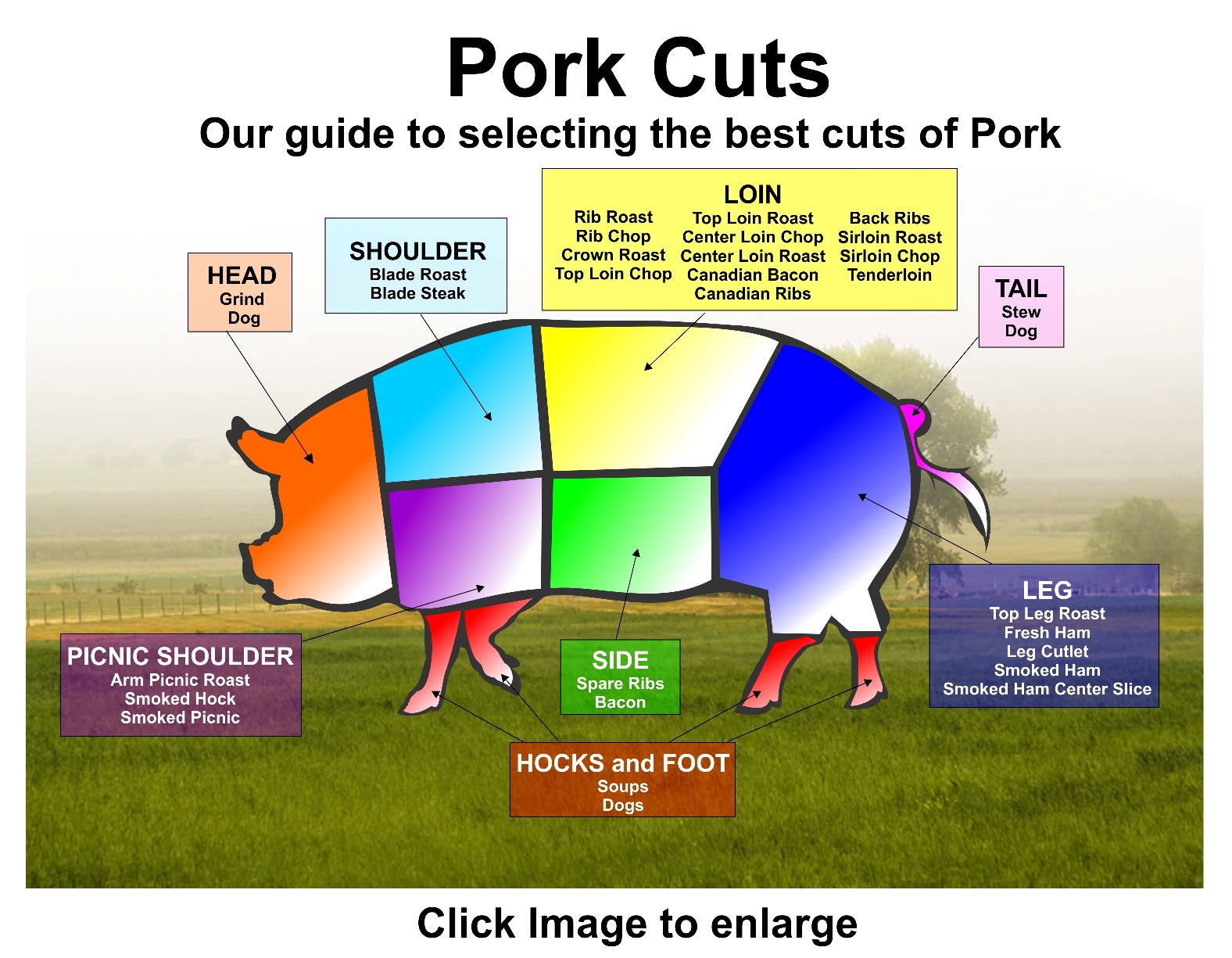 Tip to Tail A Month of Pork Day 28 Pork Based Media