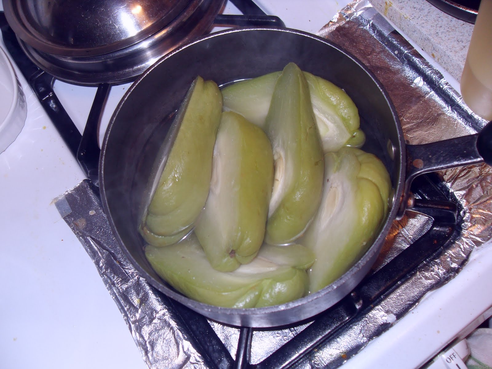 La Cocina De Nathan Cuban, Spanish, Mexican Cooking & More Chayote