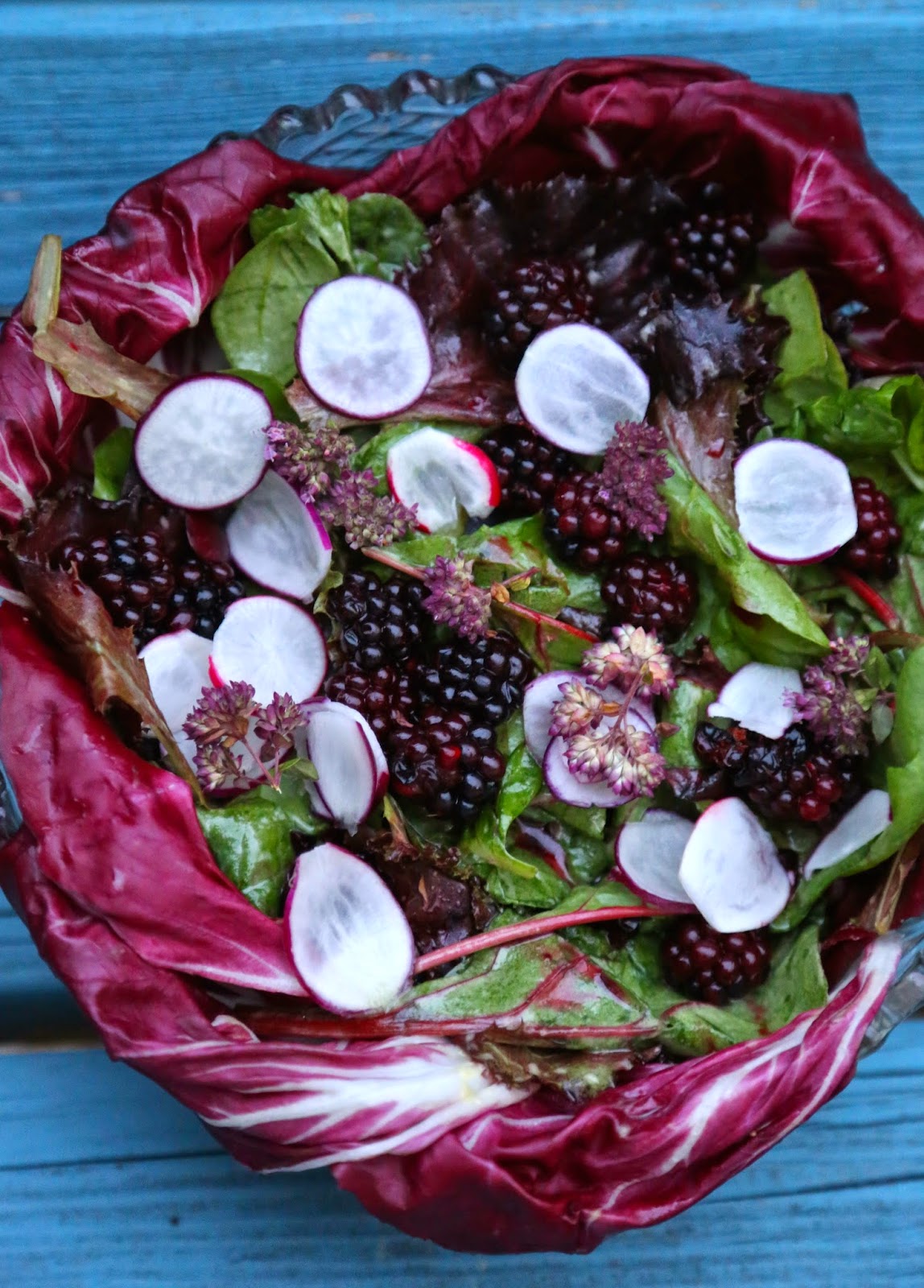 pickled blackberry salad with radicchio and radishes