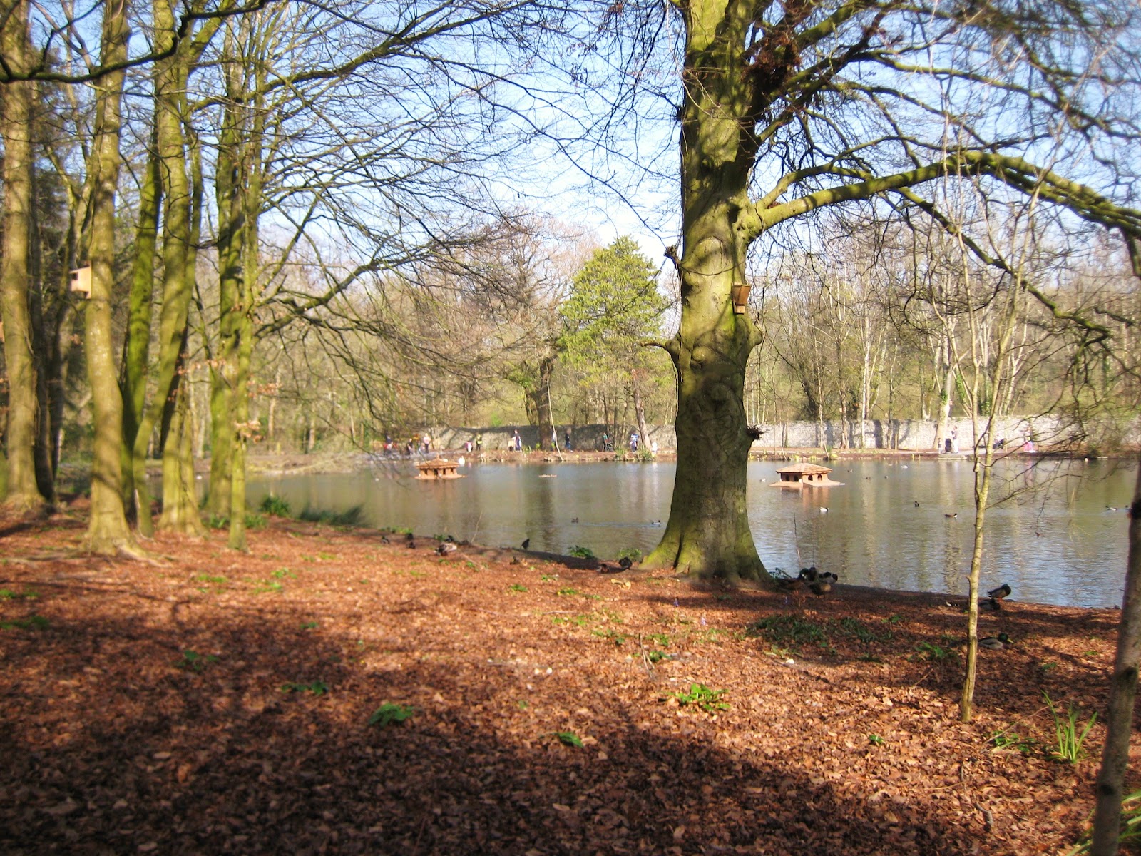 Experience Ireland Kilkenny Castle and park