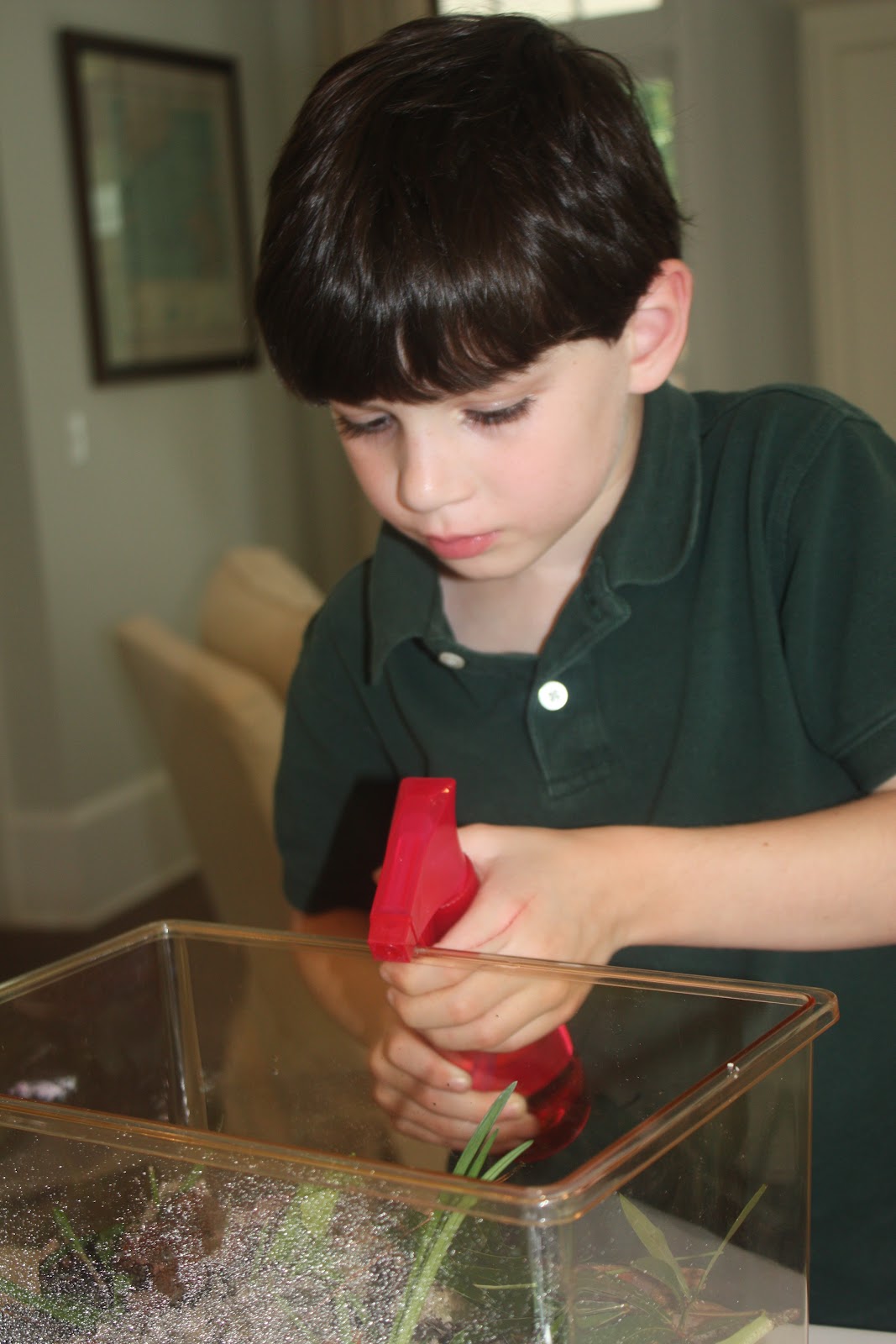 The Pearls of Homeschooling Roly Poly Terrarium