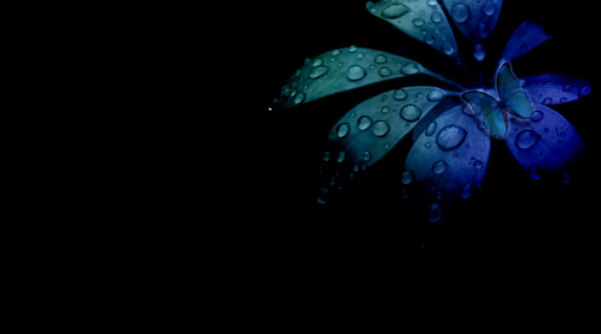 Themed Black Awesome Wallpaper Wallpapers Collection Themed Black Awesome Wallpaper Wallpapers Collection