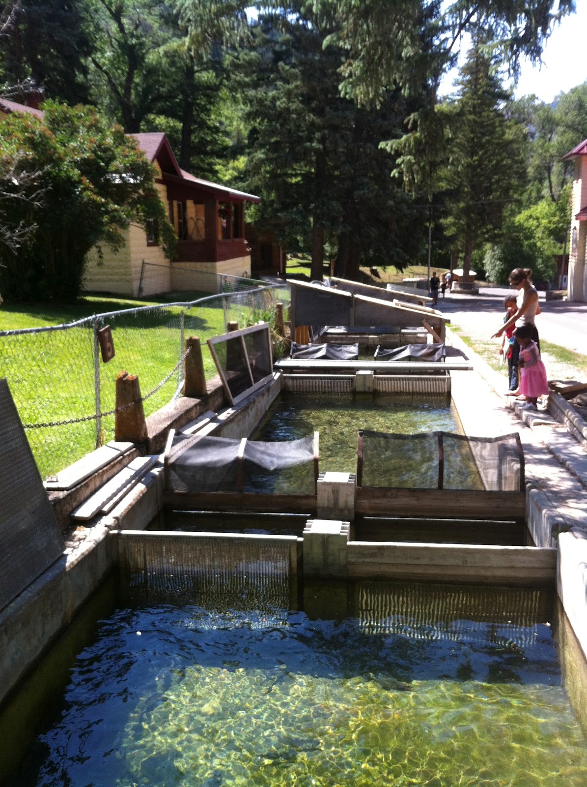 Workout Warrior Year to Forty Hiking To Glenwood Springs Fish Hatchery
