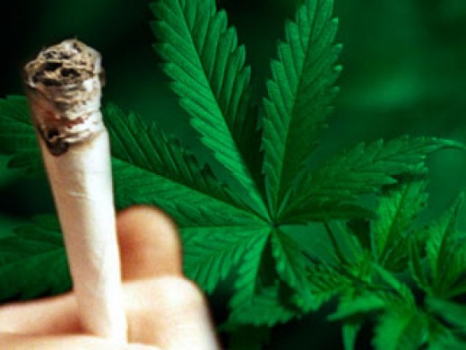 Search: how to get THC out of your system