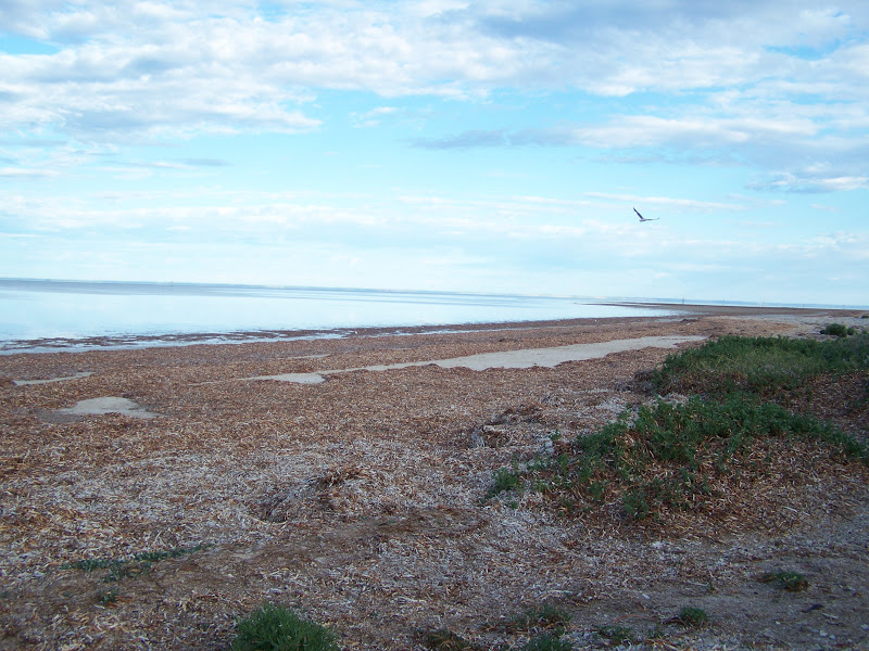 Australia here we come!