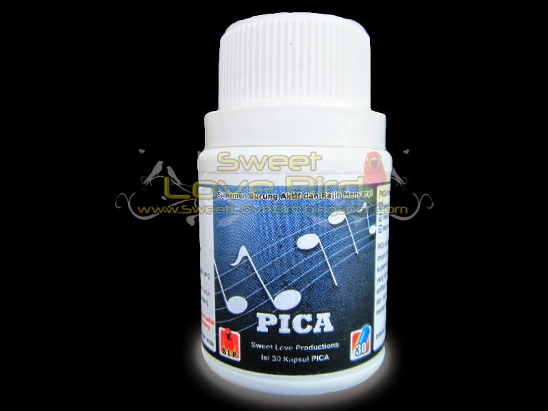 PICA+pic1.JPG