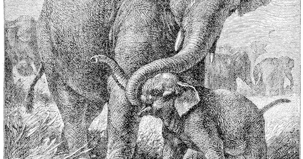 Antique Images: Elephant Clip Art: Black and White Illustration of