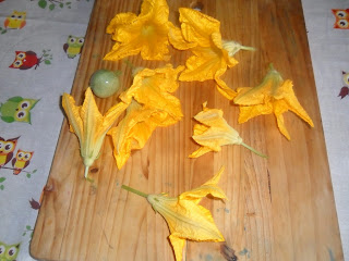 courgette flowers