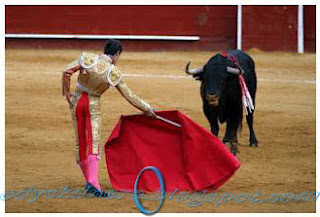 Banteng Marah Melihat Matador Merah