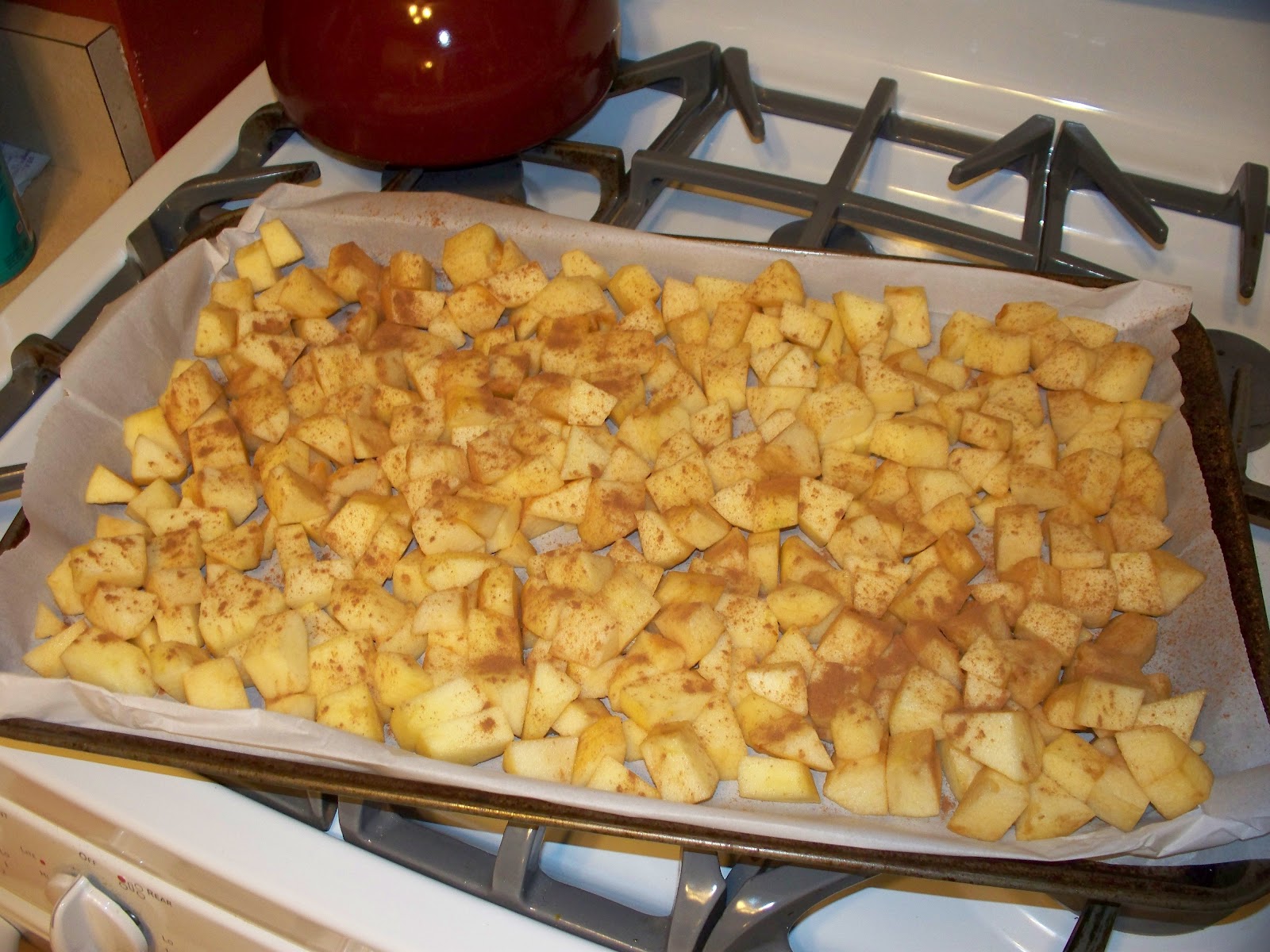 Molly's Lunch Box Salad Lunch with Homemade Applesauce and Recipe