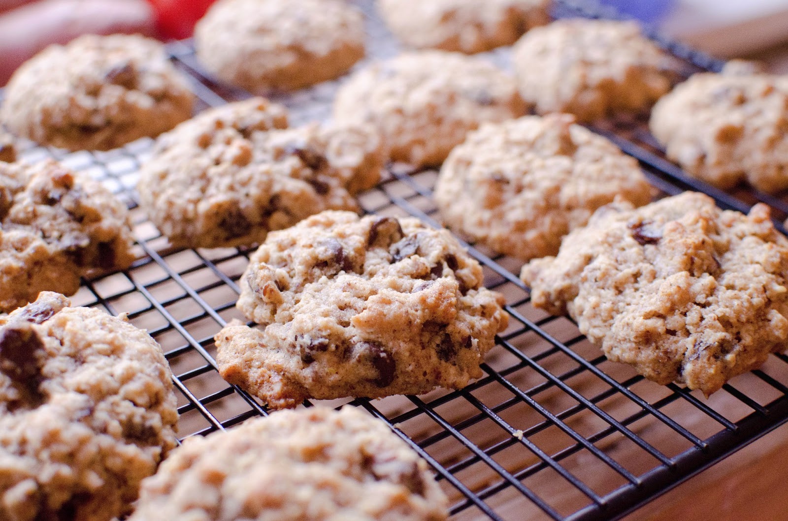 Fabulous Foods! Guiltfree Honey Wheat Oatmeal Cookies (no sugar!)