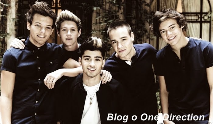 Blog o One Direction
