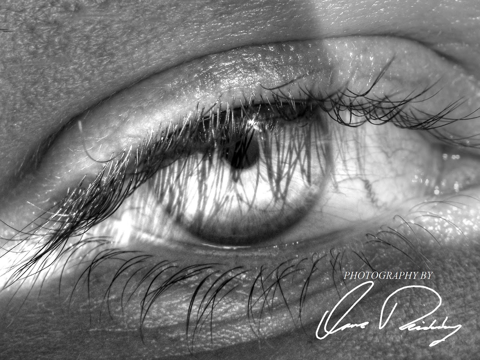 Photography by Issaac Rickenberg Tired Eye