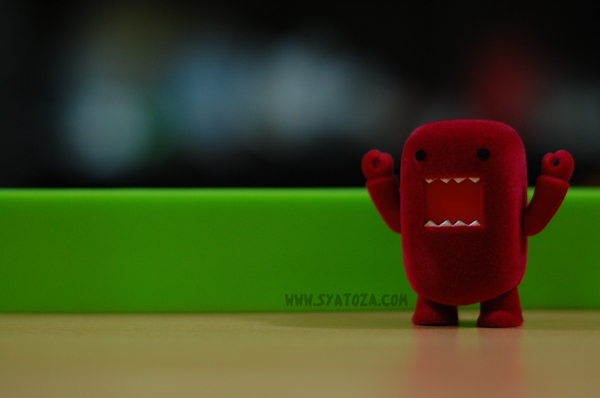 Domo+pictures+for+facebook