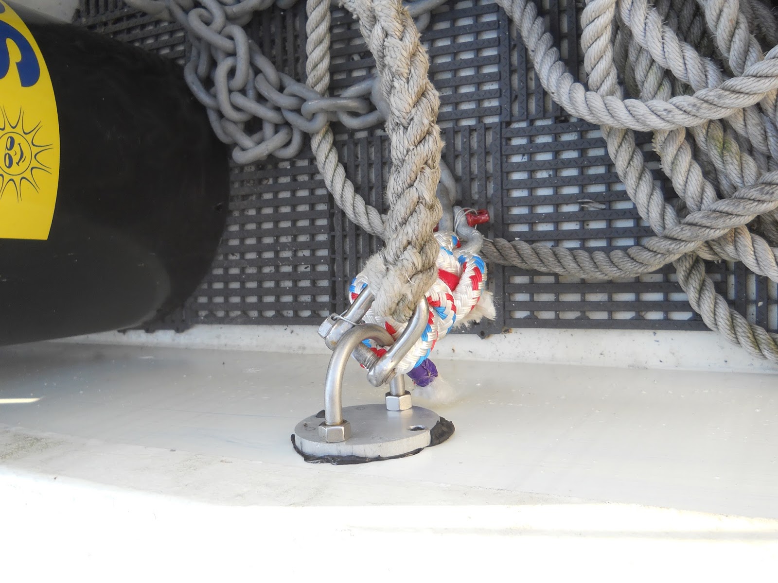 The world The bitter end