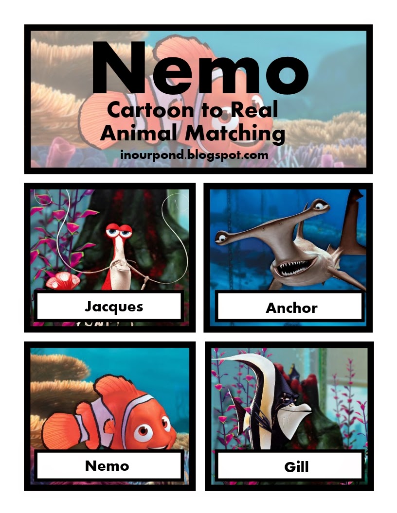 o is for ocean (year 2, week 11) - In Our Pond