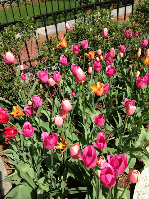 Wish List: Boston...