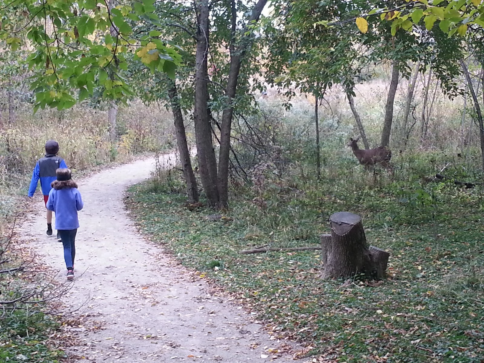 The Chicago Real Estate Local Peterson Park and the Nature Center at