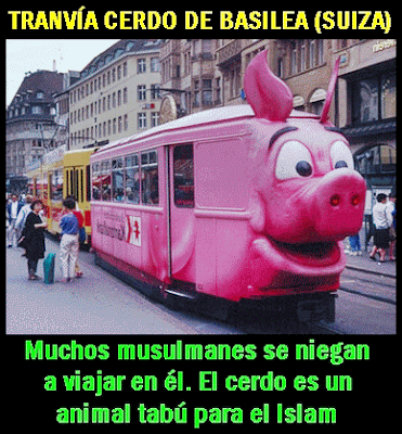 fotomeme tranvia cerdo