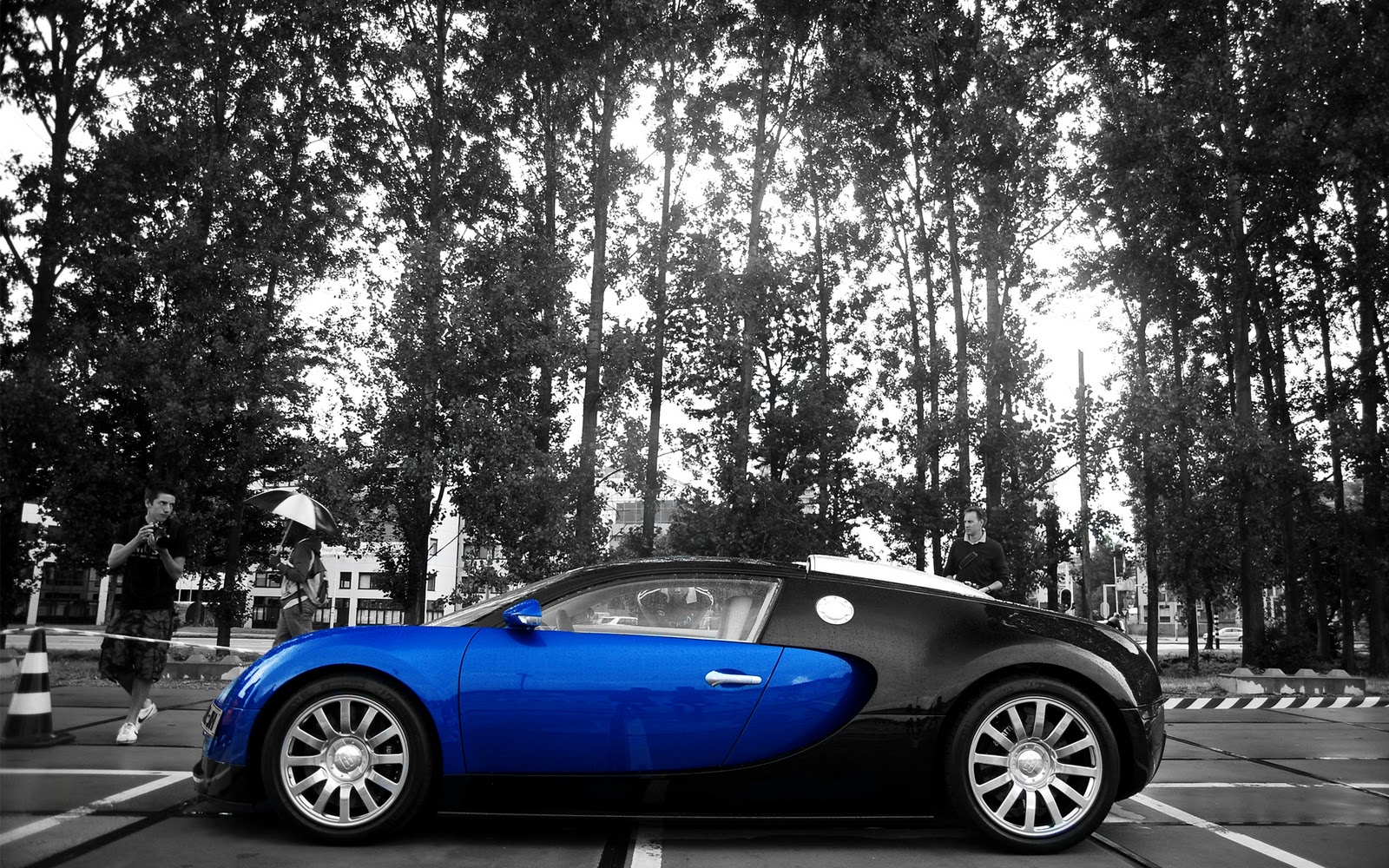 Blue and black Bugatti veyron 2012 high speed supercar hd wallpaper