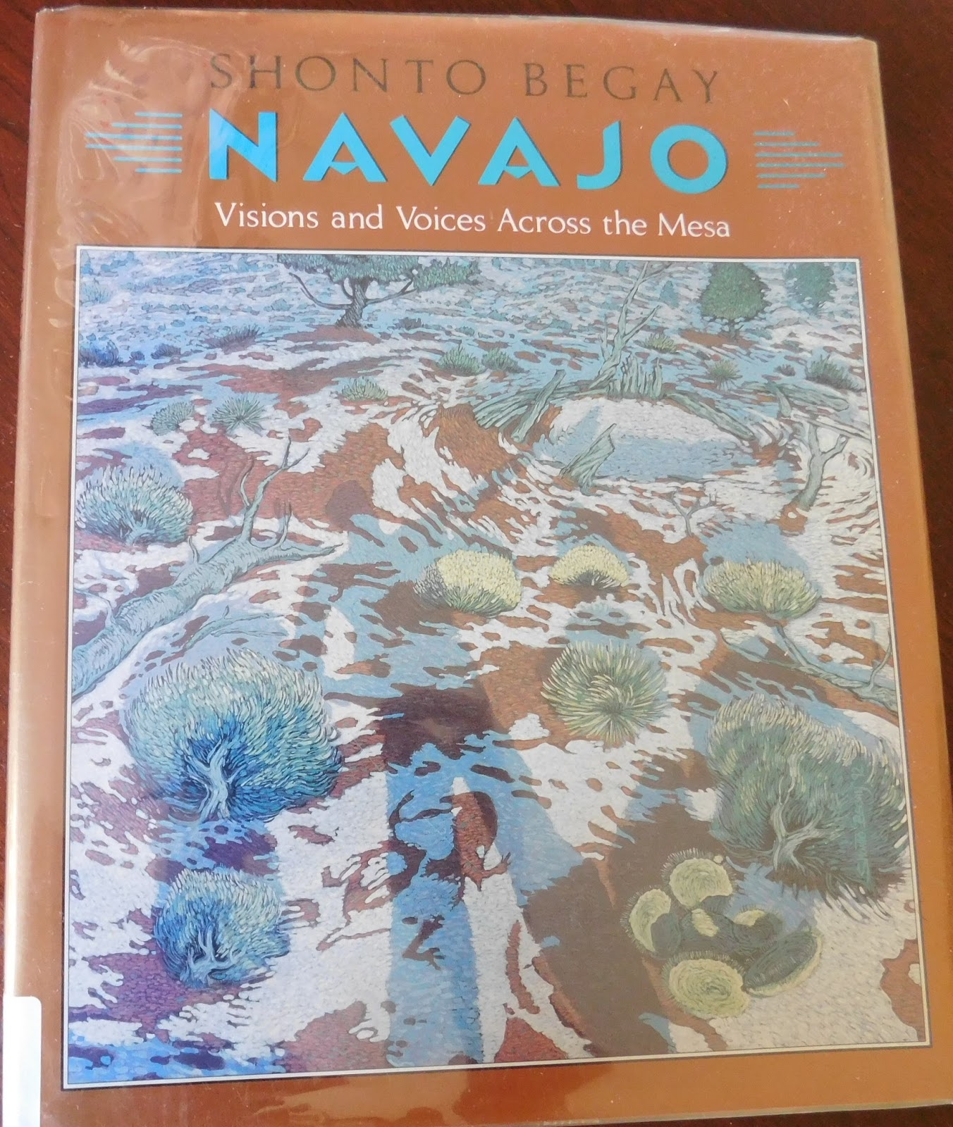 Shonto begay painting picture