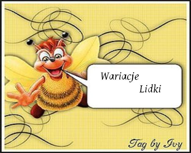 Wariacje lidki