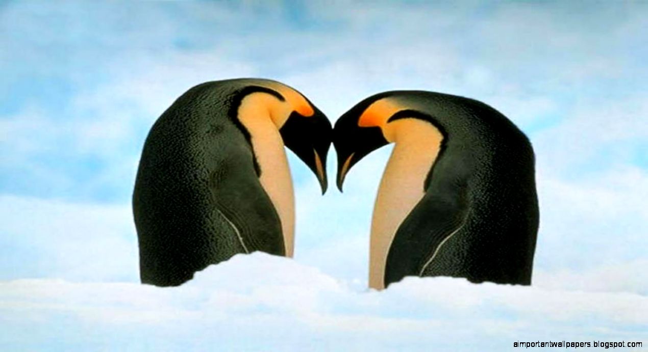 Desktop sacred geometry wallpapers wallpaper 3d hd picture design Desktop sacred geometry wallpapers wallpaper 3d hd picture design