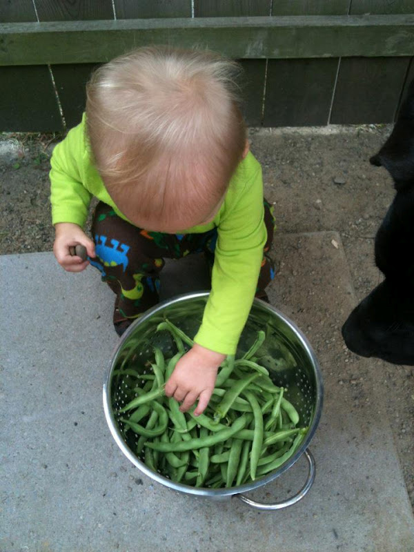 Handmade by Meg K Putting Up Green Beans