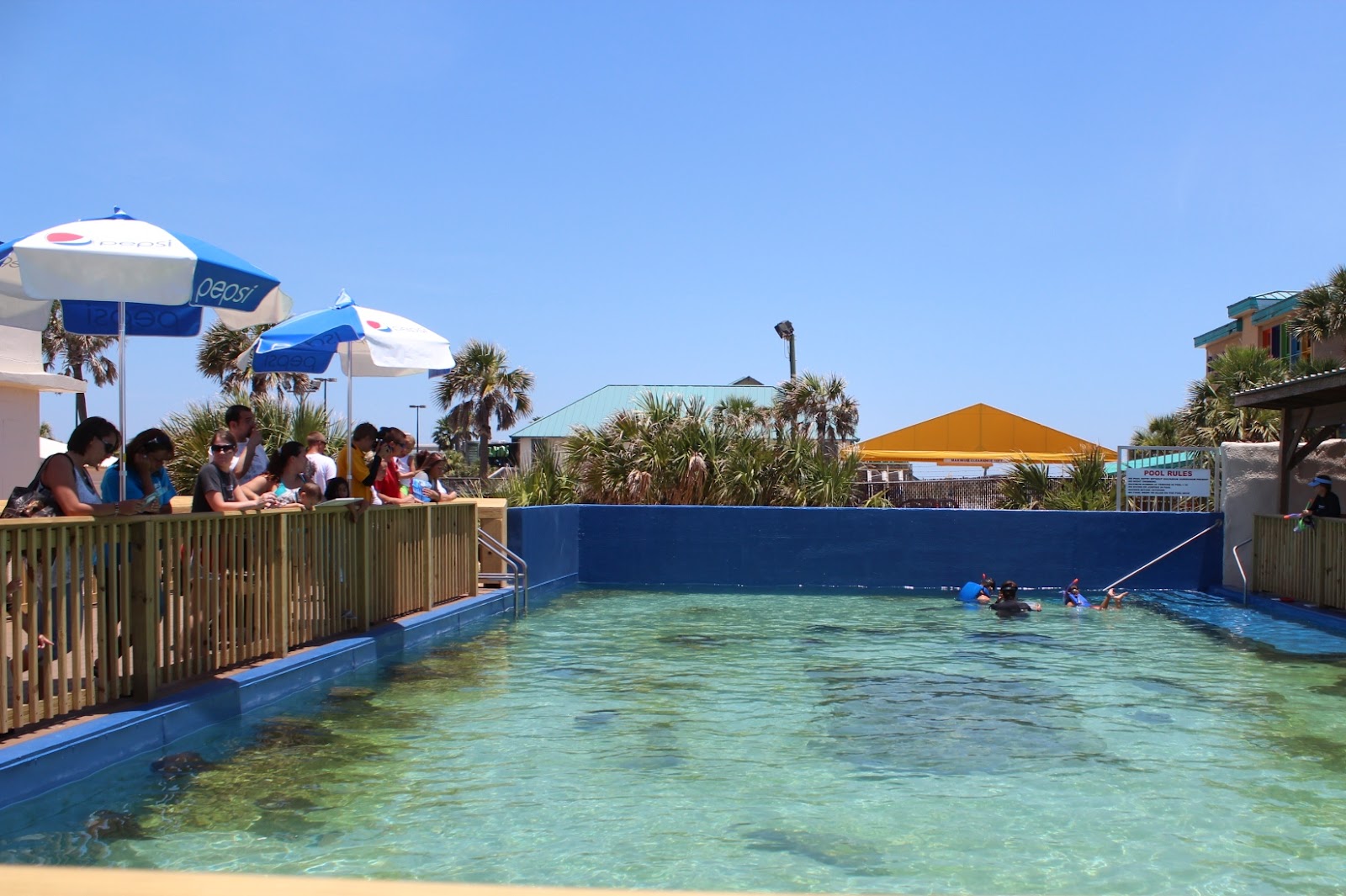 Family fun in Pensacola Gulfarium Marine Adventure Park