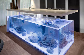 aquarium kitchen island