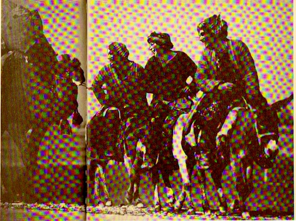 Fks Farsi Kultur Stube Juli 2014