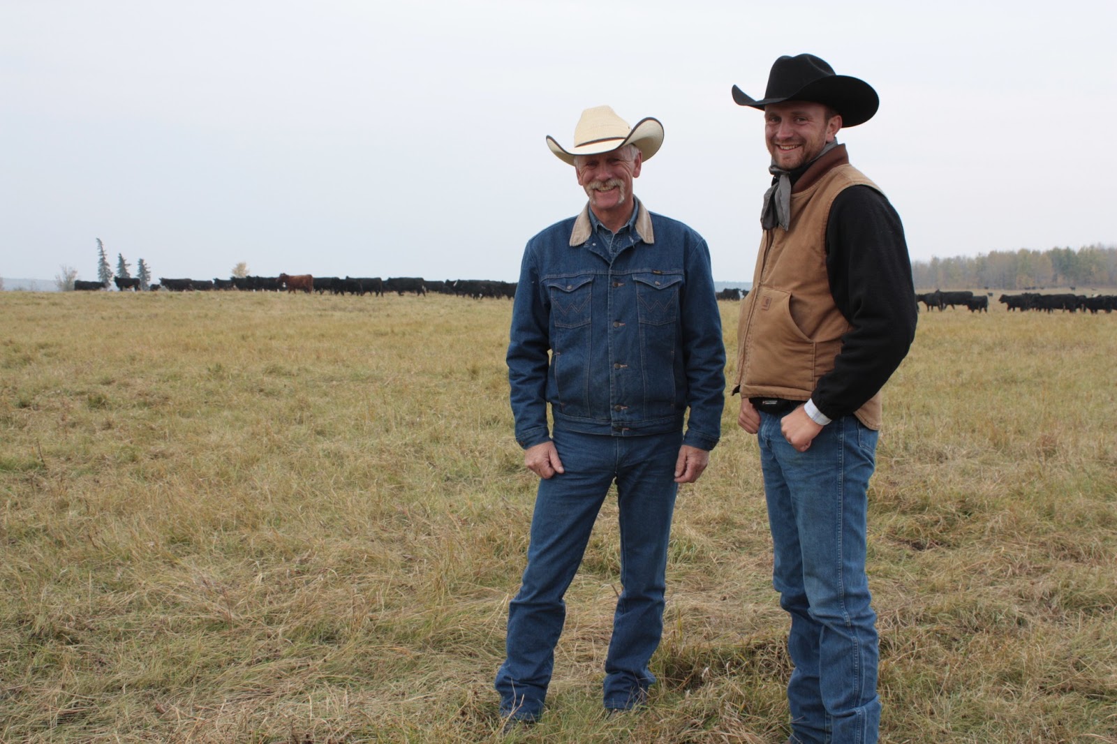 Absolutely Agriculture Alberta Cattle Ranchers Put Environment First