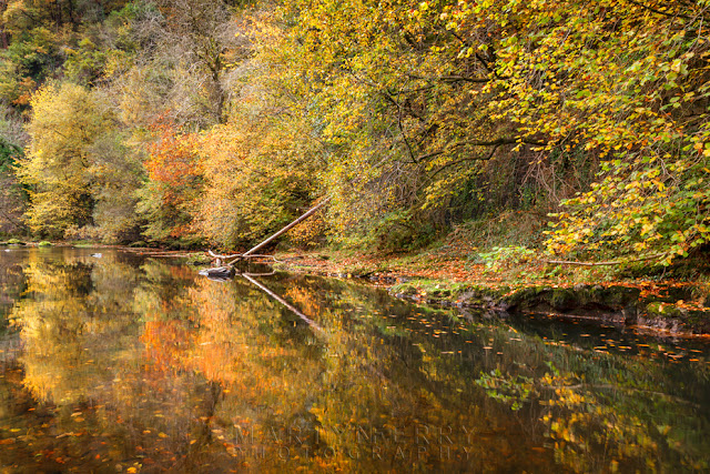 Autumn hues reflect in the Afon Mellte in the Brecon Beacons by Martyn Ferry Photography