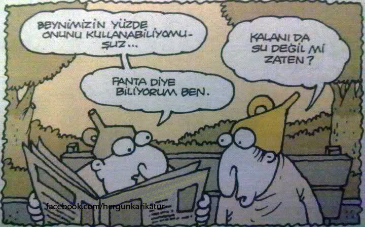huni+fanta+yigit+ozgur+karikatur+copy.jpg