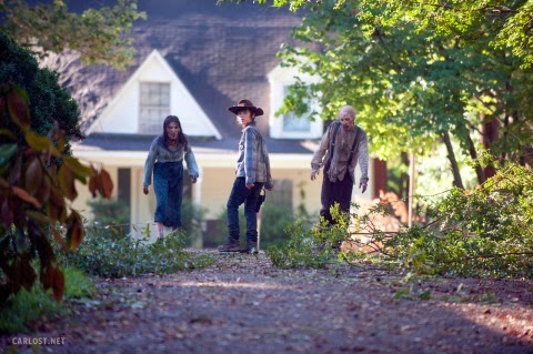 CARL EN TWD, EPISODIO 4X09 THE AFTER