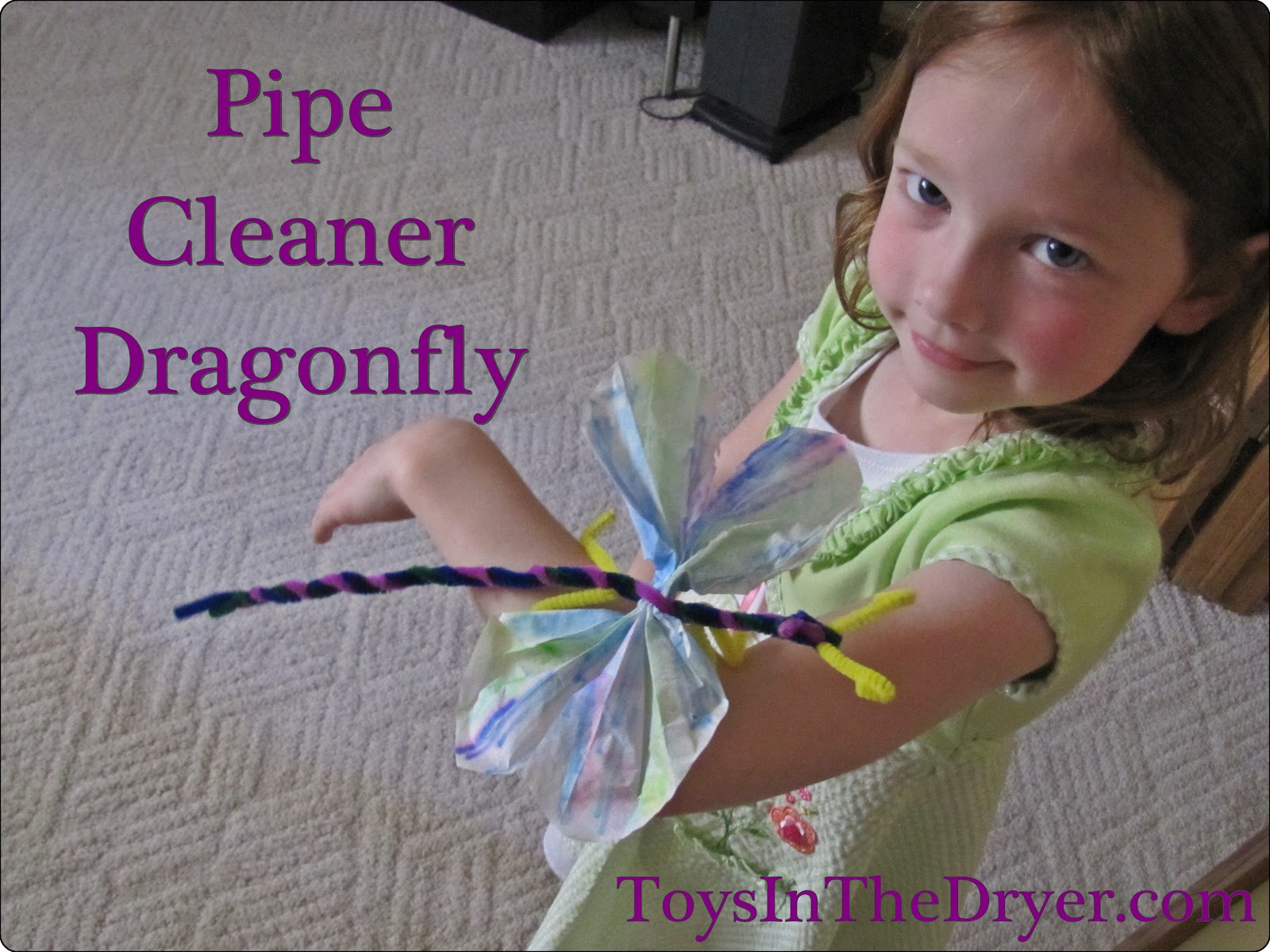 Pipe Cleaner Dragonfly