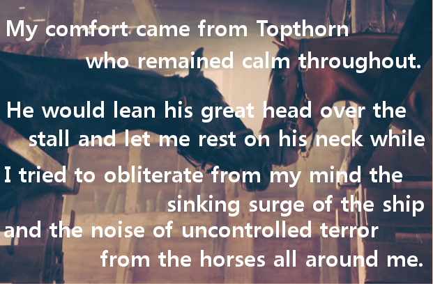 Click's Clan: Book 6 of 2013: War Horse by Michael Morpurgo