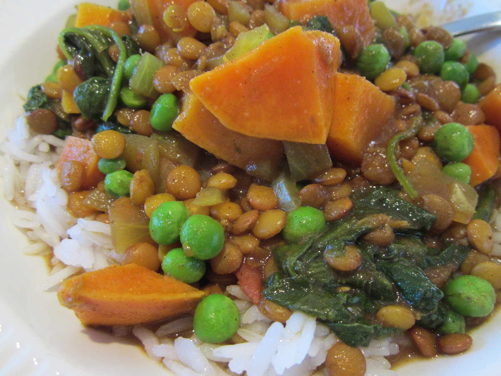 Edible Escapades Sweet Potato, Spinach & Lentil Dahl