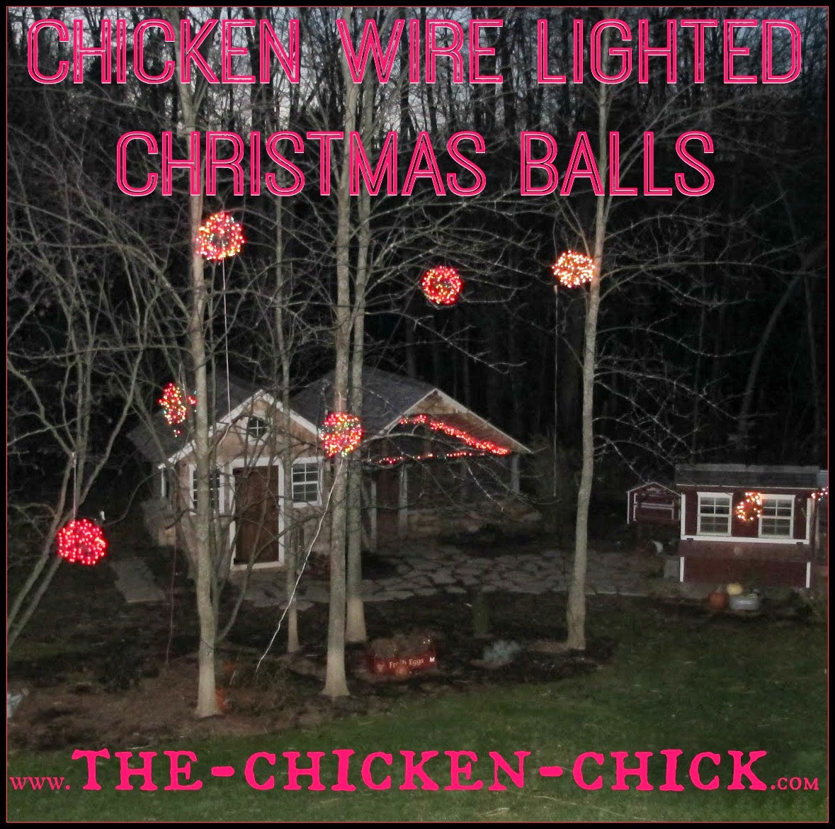 Chicken Wire, Lighted Christmas Balls. 'Tis the Season! The Chicken