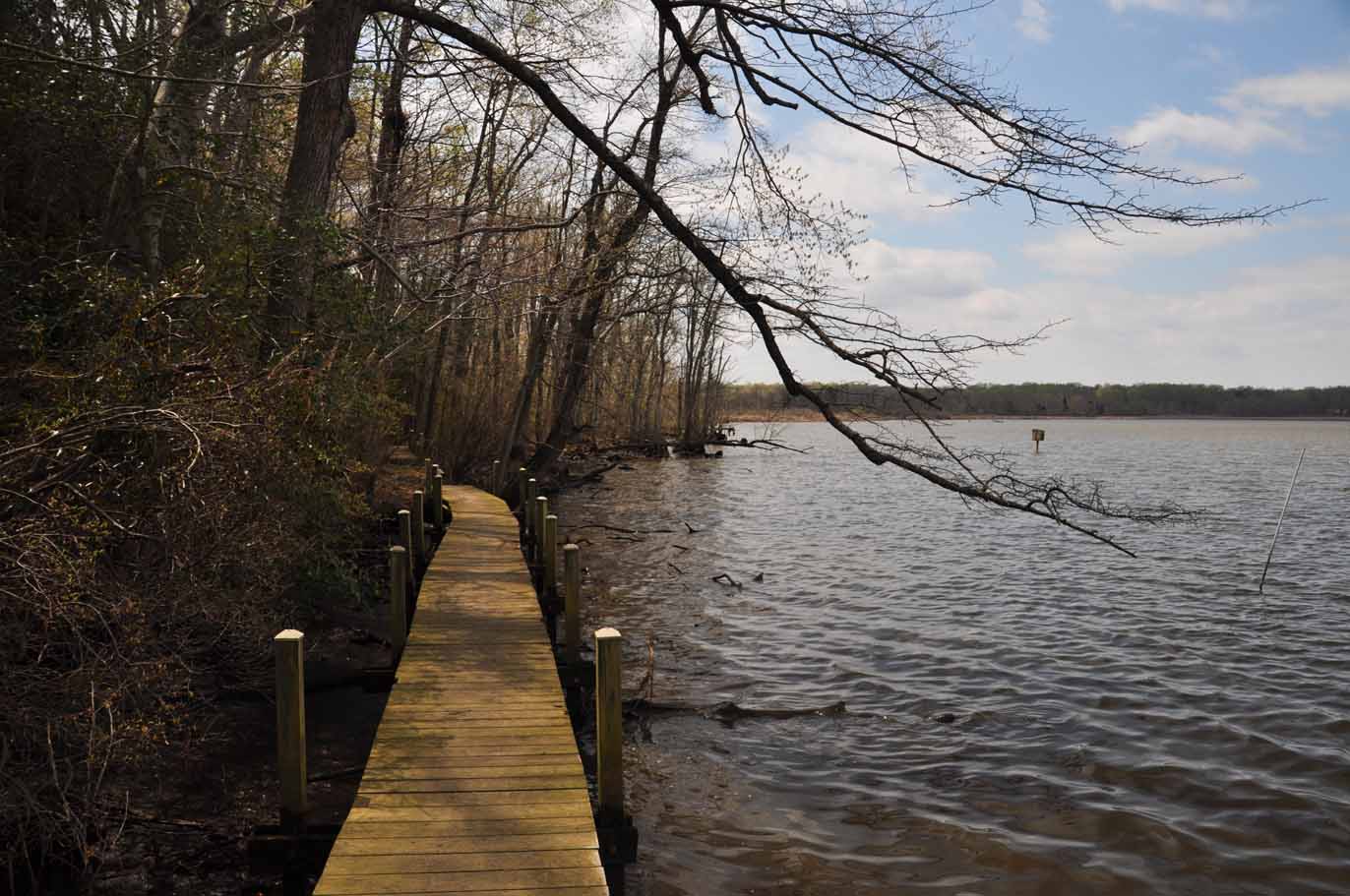 Jug Bay Wetlands Sanctuary Visiting the Ospreys