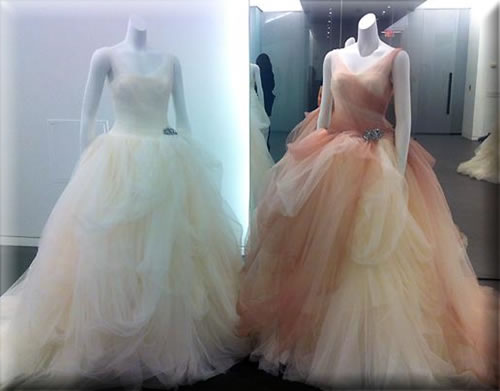 Vera Wang Gown Ombre Side