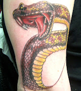 3D Snakes Tattoo on Biceps and Triceps (snakes tattoo on biceps and triceps tattoosphotogallery)