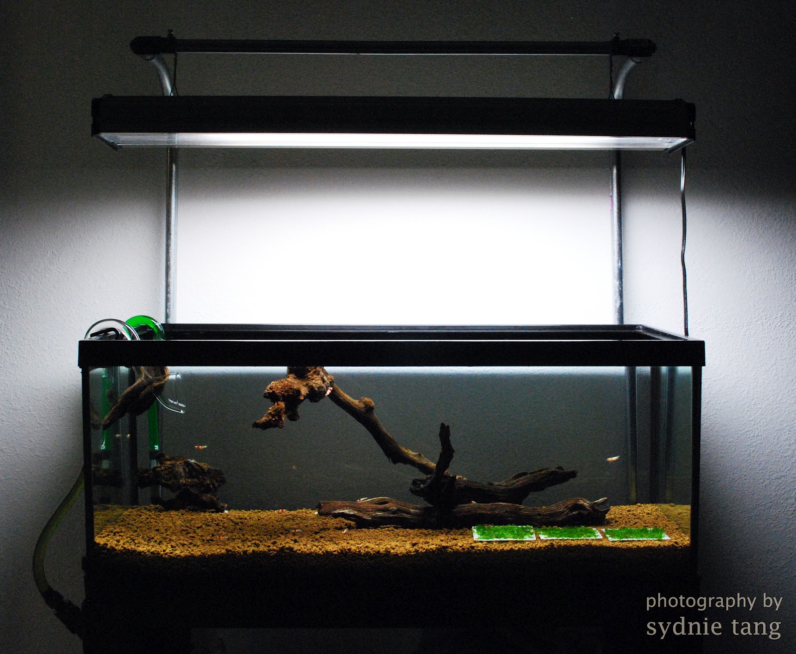 ShrimpFAN 20L Crystal Red Tank